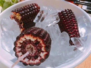 Hạt giống bắp nữ hoàng đỏ