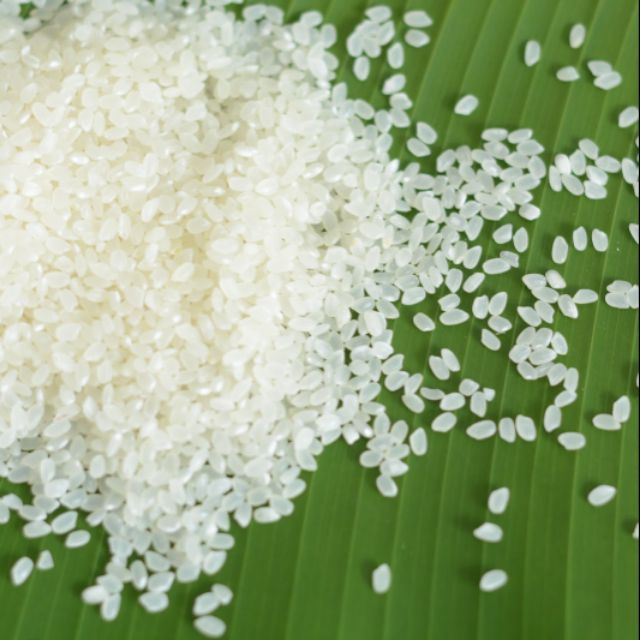 5kg gạo( séng cù hạt tròn)