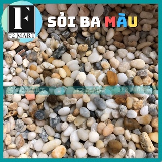1Kg Sỏi ba màu trang trí bể cá, hồ cá, bể thuỷ sinh