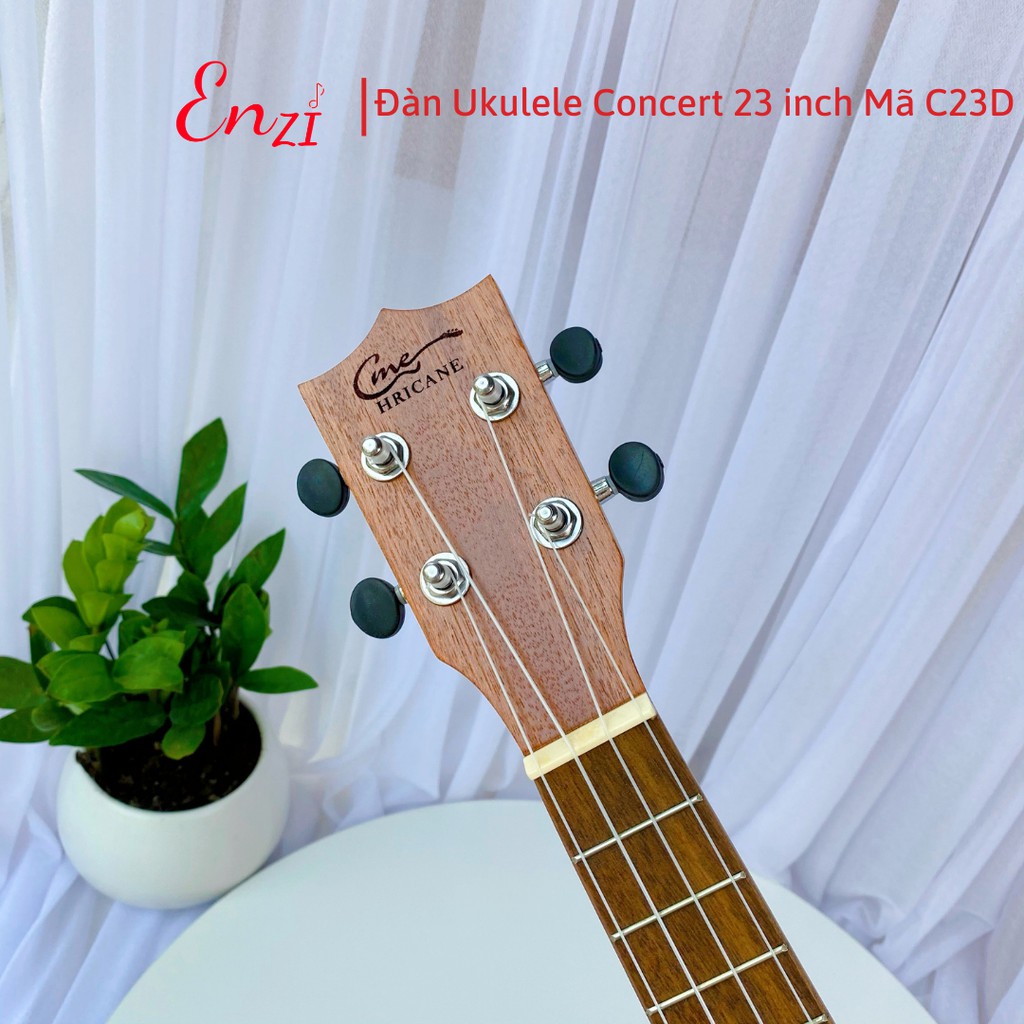 Đàn ukulele concert C23D Enzi 23 inch gỗ mộc trơn giá rẻ cho bạn mới bắt đầu tập chơi