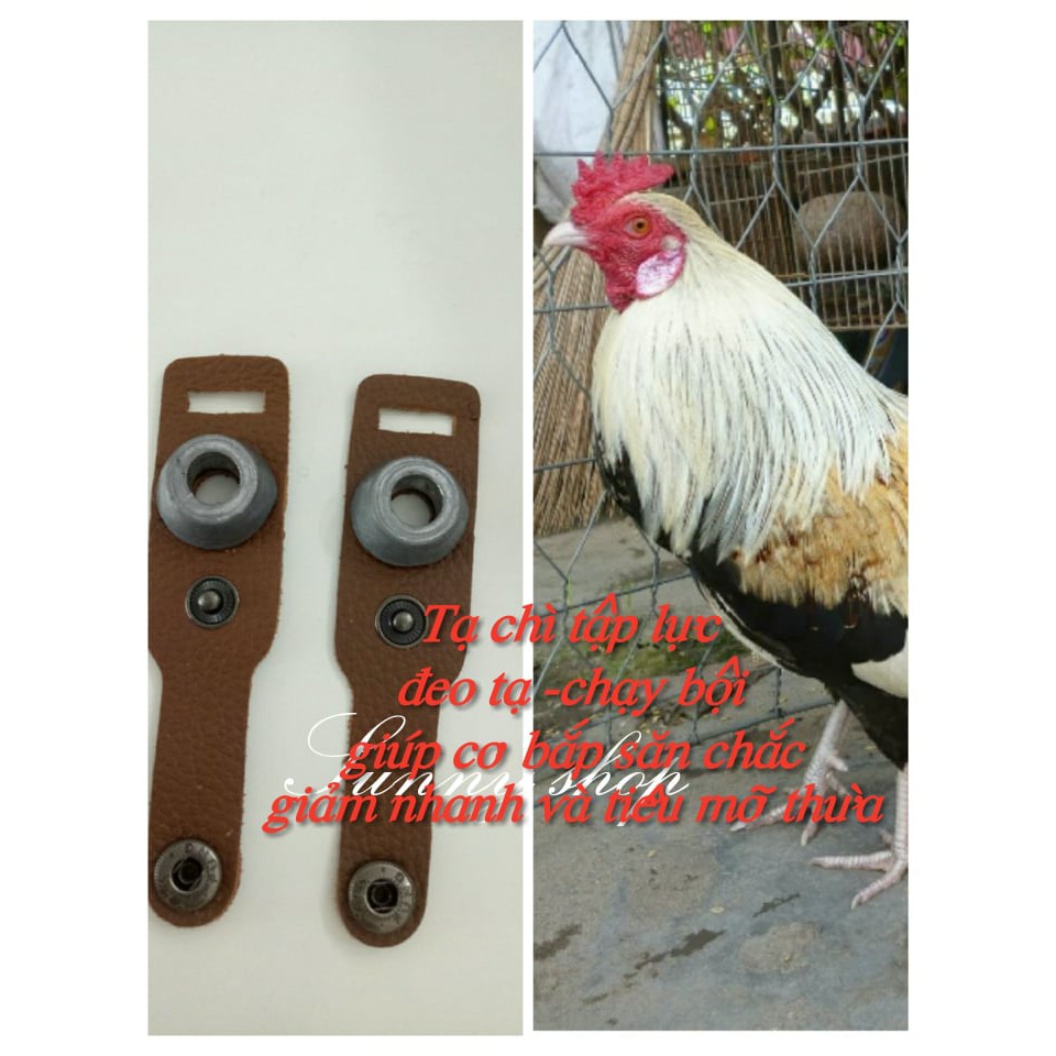 Tạ chì tập lực dùng cho gà tre
