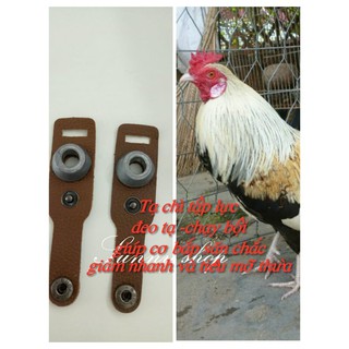 Tạ chì tập lực dùng cho gà tre