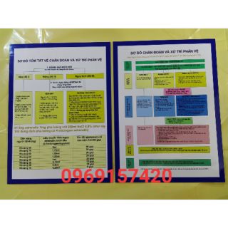 Combo 2 tranh sơ đồ chống sốc phản vệ và 1 tranh giải phẫu răng