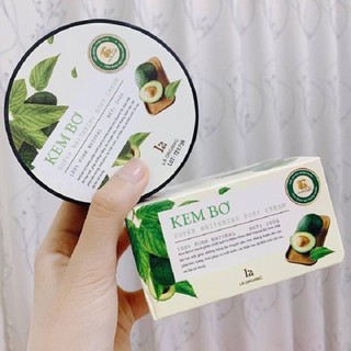 Body lá kem bơ