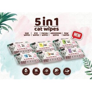 Khăn giấy ướt cho mèo KitCat
