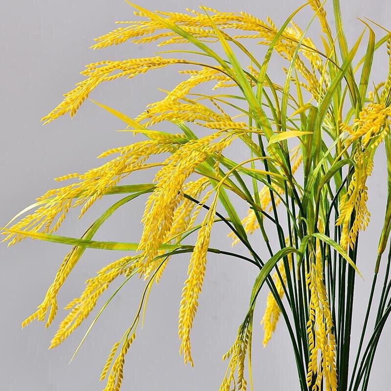 Bông lúa giả, bông lúa vàng sung túc ấm no