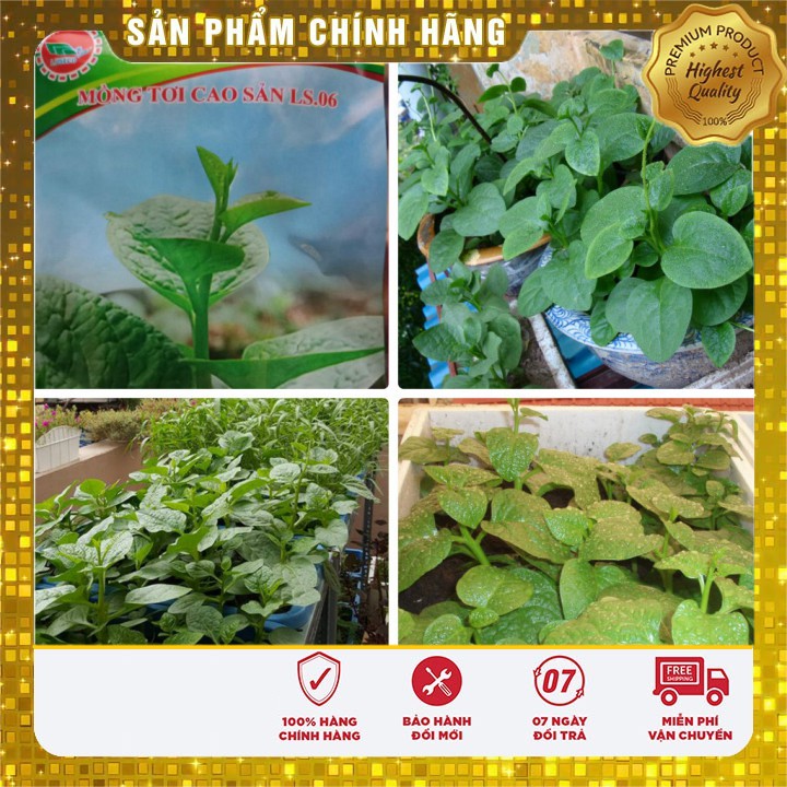 Hạt giống Rau Mồng Tơi Xanh(20 gram)