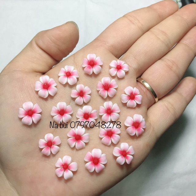 Hoa bột Na Nails