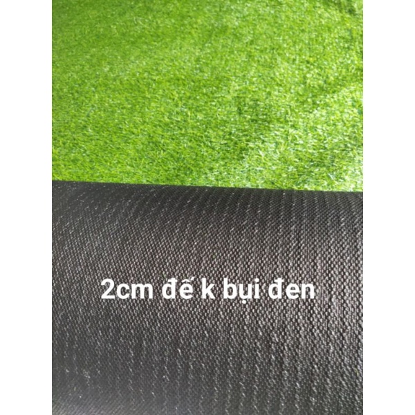 Thảm cỏ nhân tạo 2cm miễn ship