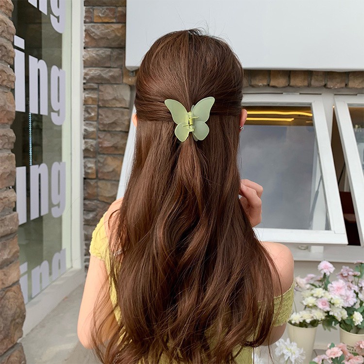 Kẹp tóc cào tóc nữ bướm màu trong nhám cài tóc Hàn quốc