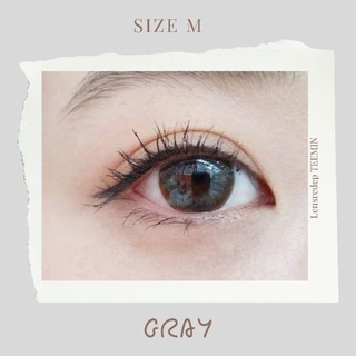 Lens sally gray  | xám giãn vừa