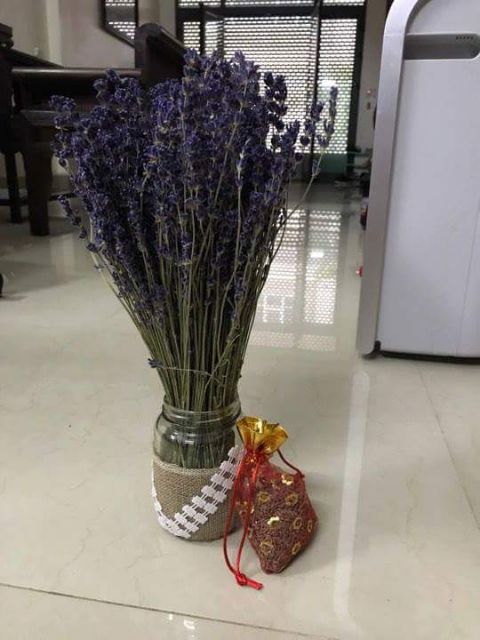 Hoa Lavender khô nhập khẩu Pháp