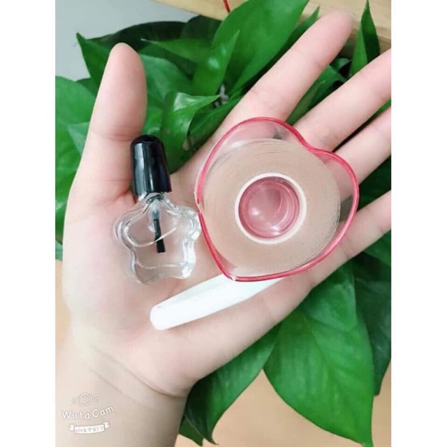 Dán mí lưới cuộn
