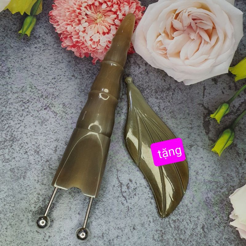 (HOT) Bọ cạp sừng trắng lớn đầu bạc ta nguyên chất 12 li diện chẩn