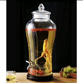 Bình Thủy Tinh Ngâm Rươu Sâm Cao Ly 15 lít có van hoặc không van