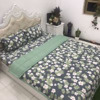 chăn hè ga gối đũi