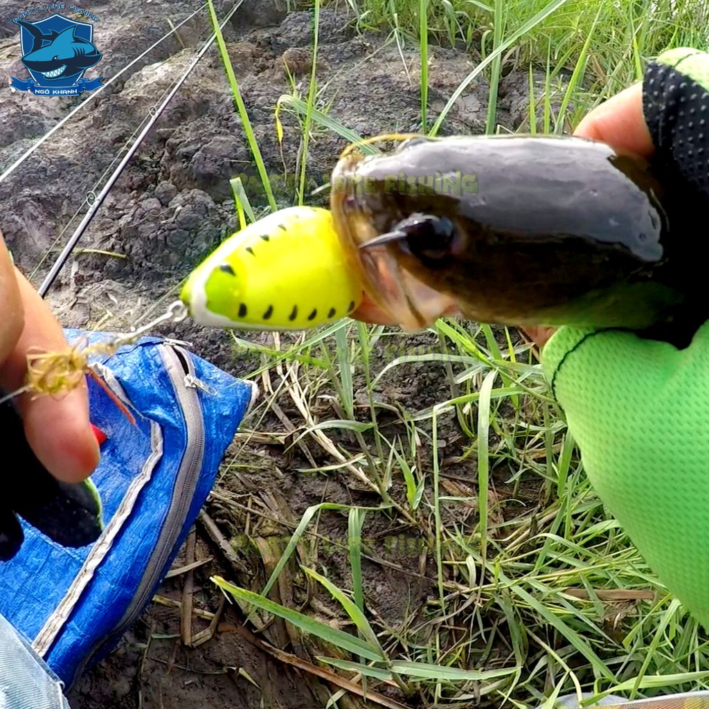 Mồi câu cá lóc nhái hơi Dưa Hấu , Mồi lure lóc Made In Thailand