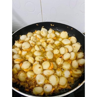 [ PHÚ NHUẬN] CÒI SÒ ĐIỆP TRỨNG 500GR