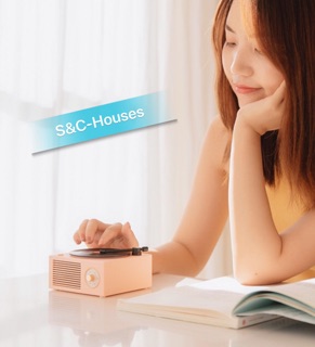 LOA BLUETOOTH ĐĨA THAN CỔ (HÀNG LOẠI I)