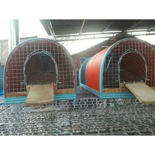 Lồng Bắt Chuột Thông Minh Size Trung  20cm-45cm