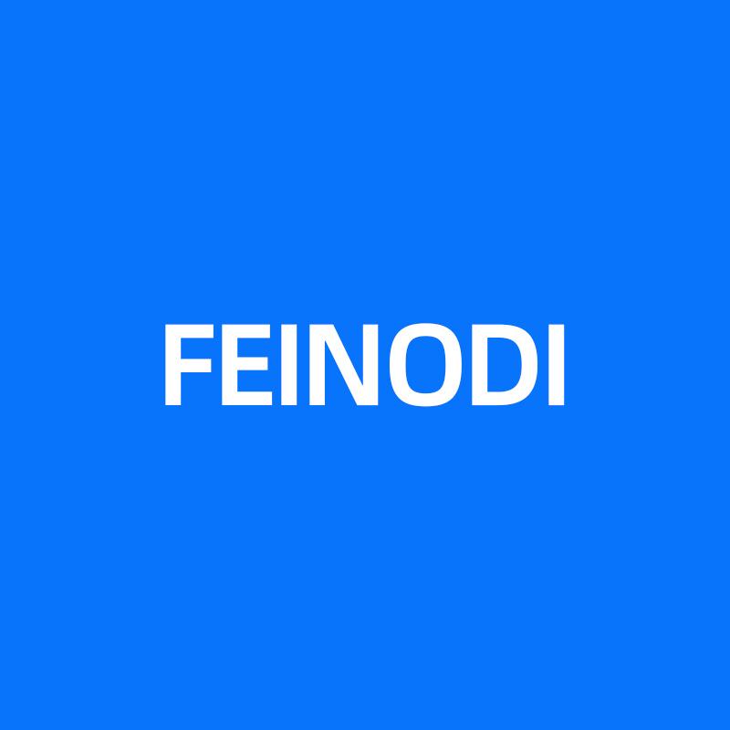 Feinodi 3C Store