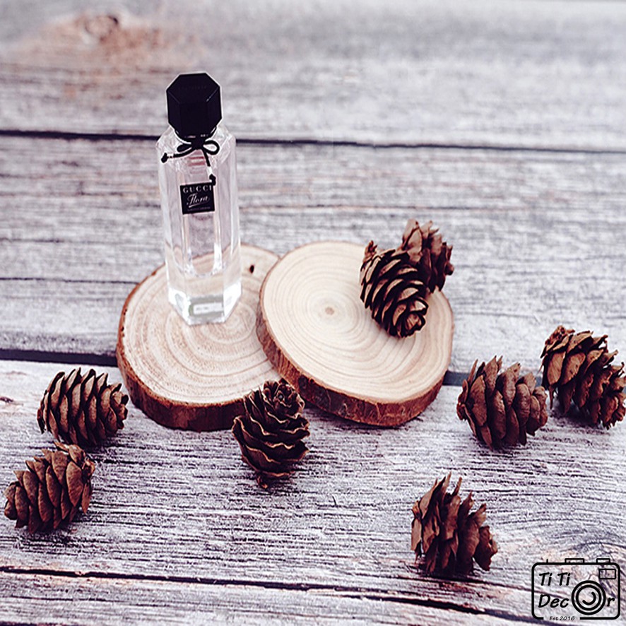 Set quả thông trang trí chụp ảnh, decor nhà cửa, cửa hàng - TiTi Decor