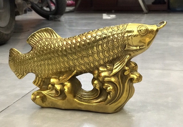 Cá Rồng Vàng