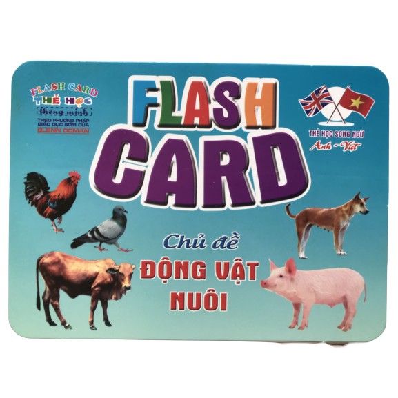 Bộ chủ đề thẻ học thông minh 12*16cm Flashcard Glenn Doman