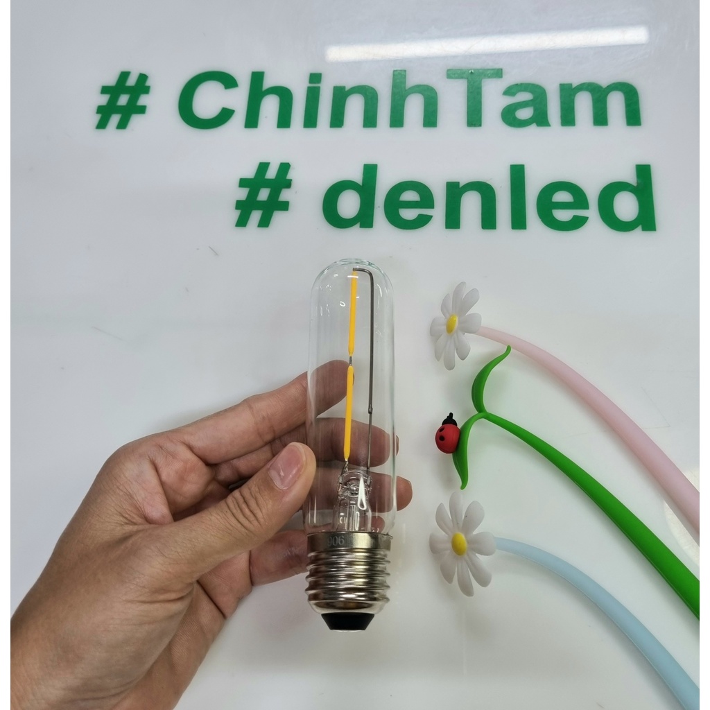 Bóng đèn led Edison T125 2W 220Vac