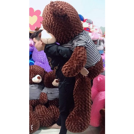 Gấu bông teddy khổ vải 1m8 cao 1m6