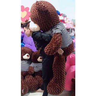 Gấu bông teddy khổ vải 1m8 cao 1m6