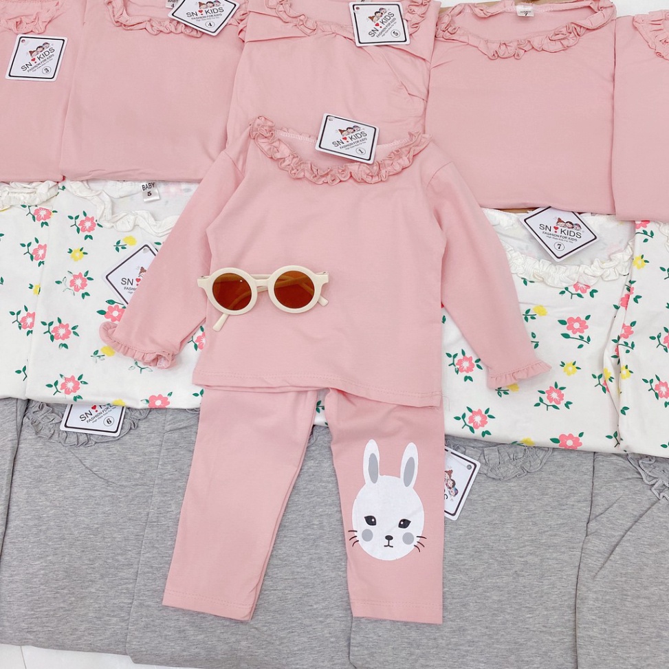 Bộ Quần Áo Dài Tay Mùa Thu In Hình Hoa Ren Cổ Xinh Xắn Vải Cotton Cho Bé Từ 6-16kg Mã DT16