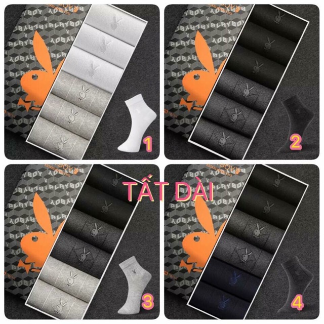 Set tất playboy