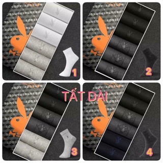 Set tất playboy