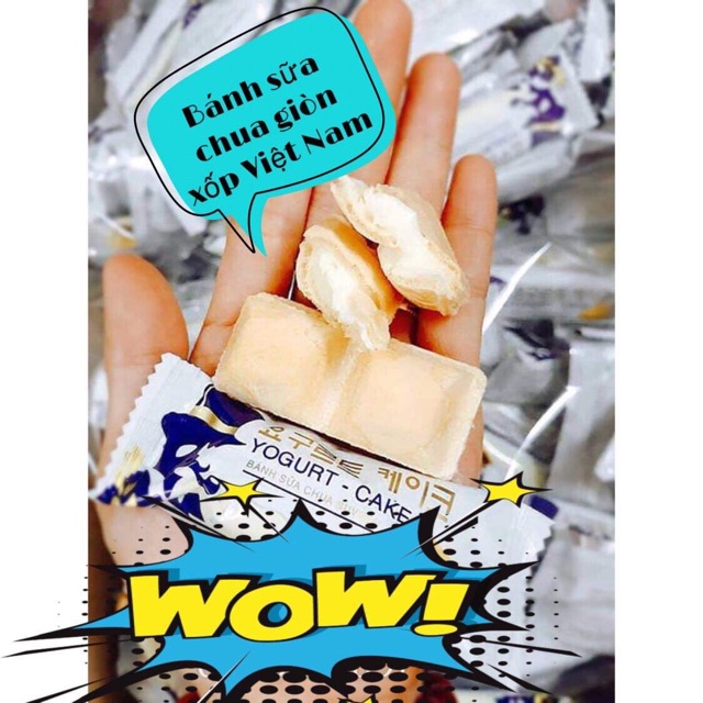Hàng Sale _ Bánh sữa chua ( 20 c)