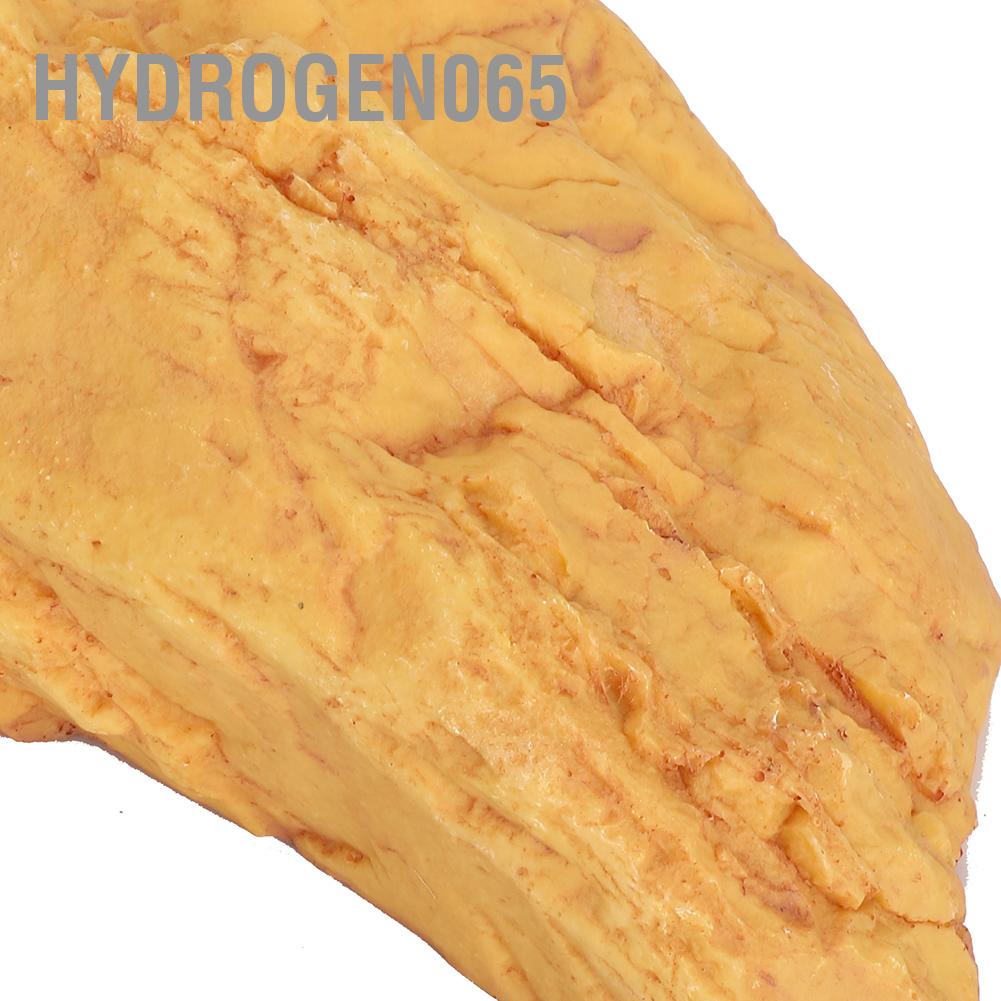 Hydrogen065 Nơi trú ẩn bằng nhựa cho bò sát Trang trí hồ cá Nhân tạo Hang náu ổn định mềm