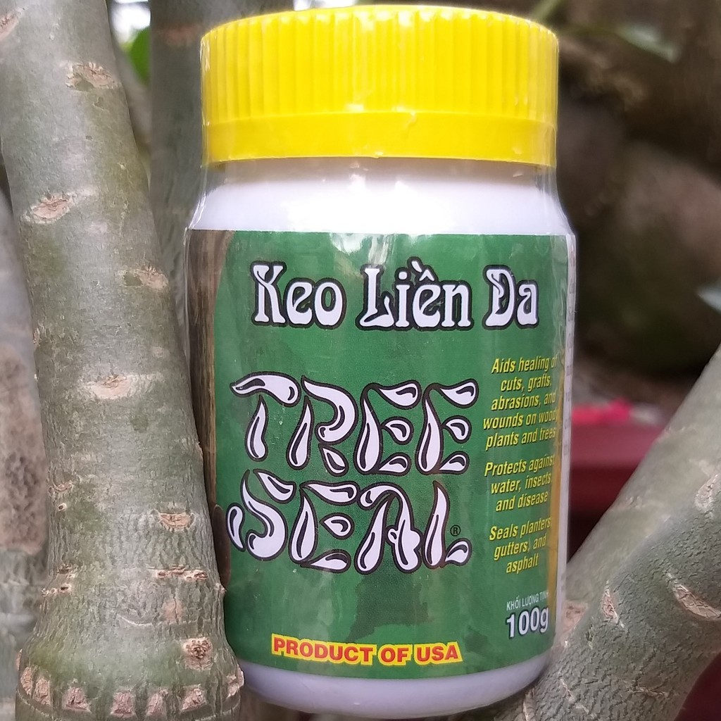 Keo Liền Da Cây, Keo Mỹ Tiến (100g)