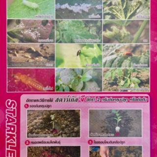 Thuốc diệt rệp lưu dẫn Starkle G Thái Lan 1kg