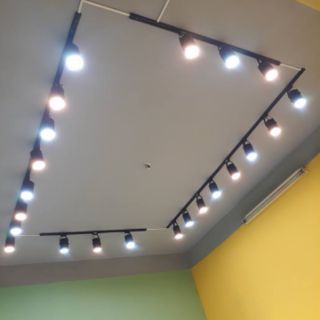 ĐÈN RỌI RAY 20W