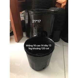 1kg Bầu ươm size 21*17 (120 cái/kg)