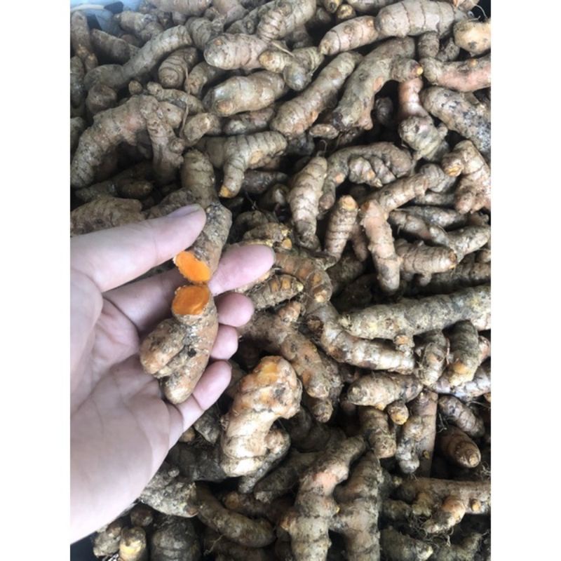 1 Kg Nghệ Ta Ruột Vàng Miền Bắc Giá Sỉ