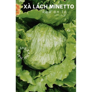 Hạt giống xà lách minetto gói 2gr