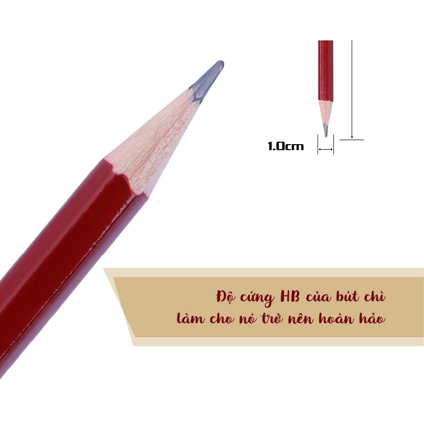 Bút chì gỗ STABILO Swano 4906 (PC4906-HB)