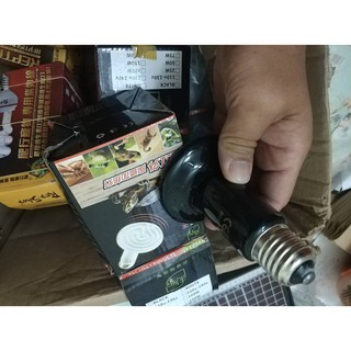 Đèn sưởi sứ cho vật nuôi