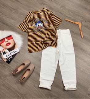 Set vịt donal