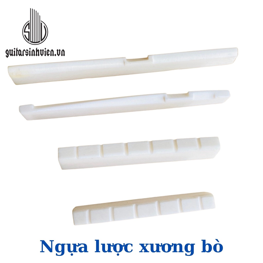 Ngựa Lược Nhựa Và Ngựa Lược Xương Bò Cho Đàn Guitar Acoustic Và Classic