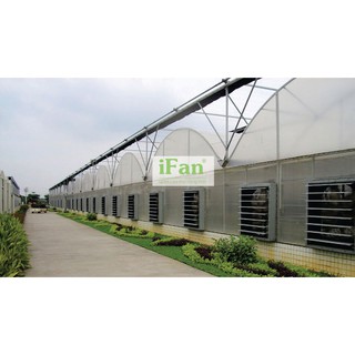 QUẠT THÔNG GIÓ GẮN TƯỜNG IFAN-A