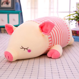 Gấu heo pigtail xinh xắn/ gấu bông/ quà tặng