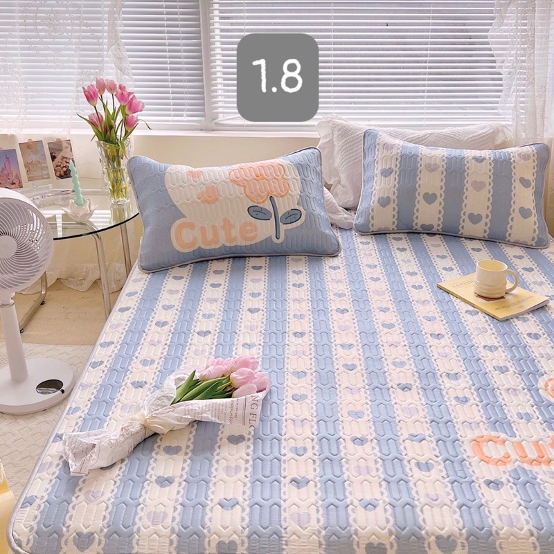 Chiếu điều hoà cao su non 5D Latex loại 1 (tặng kèm 2 vỏ gối cùng bộ )