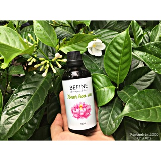 Toner Hoa Sen Nguyên Chất 100%